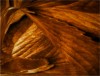 Golden Abstract 